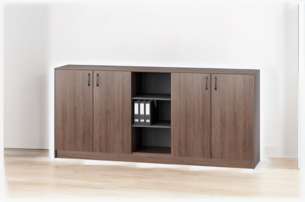 Office Filing Cabinet Doors with Shelf — office scene