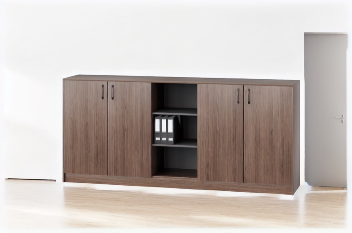 Office Filing Cabinet Doors with Shelf — office scene