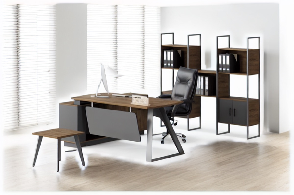 Director L-Desk + Bookshelf — office scene